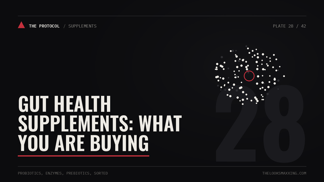 Gut Health Supplements: What You Are Buying